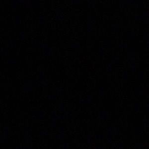 Meet your Posher, Lilly